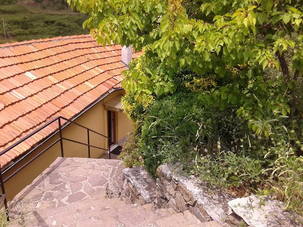 Ca Gialla De Drignana ヴェルナッツァ