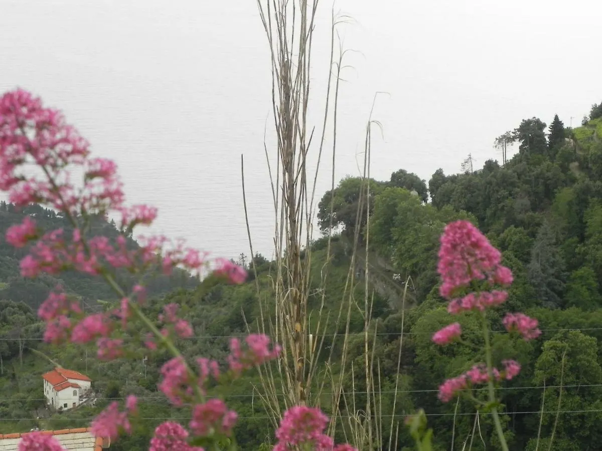 アパート Ca Gialla De Drignana ヴェルナッツァ イタリア